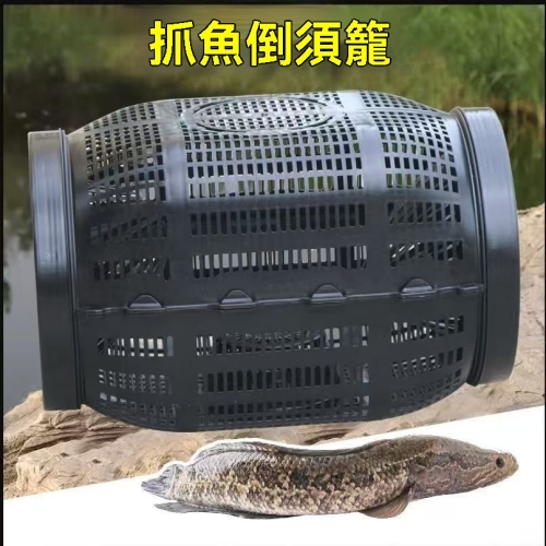 新型大號捕魚籠